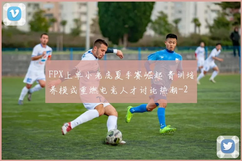 FPX上单小老虎夏季赛崛起 青训培养模式重燃电竞人才讨论热潮