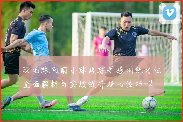 羽毛球网前小球搓球手感训练方法全面解析与实战提升核心技巧